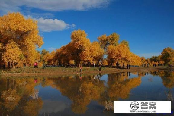 去额济纳旗看胡杨林哪个时间最好？