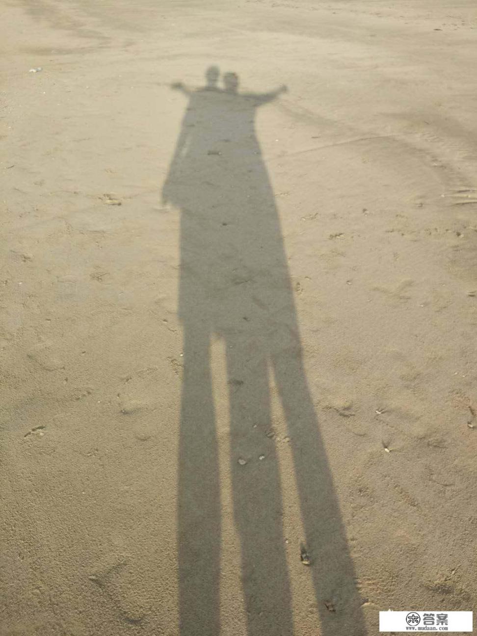 为什么很多电子书都找不到了？