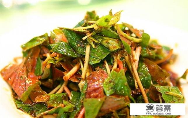 常吃鱼腥草有什么好处? 常吃鱼腥草有什么好处?