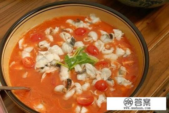 西红柿鱼家常做法？