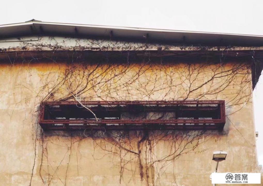 红砖厂介绍? 红砖厂介绍?