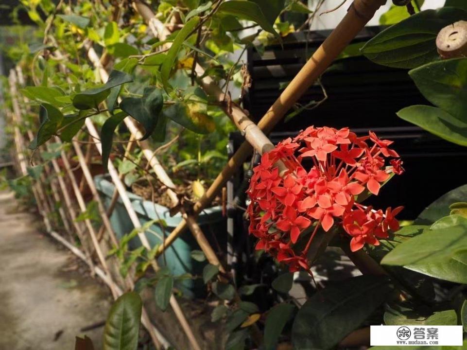 红砖厂介绍? 红砖厂介绍?