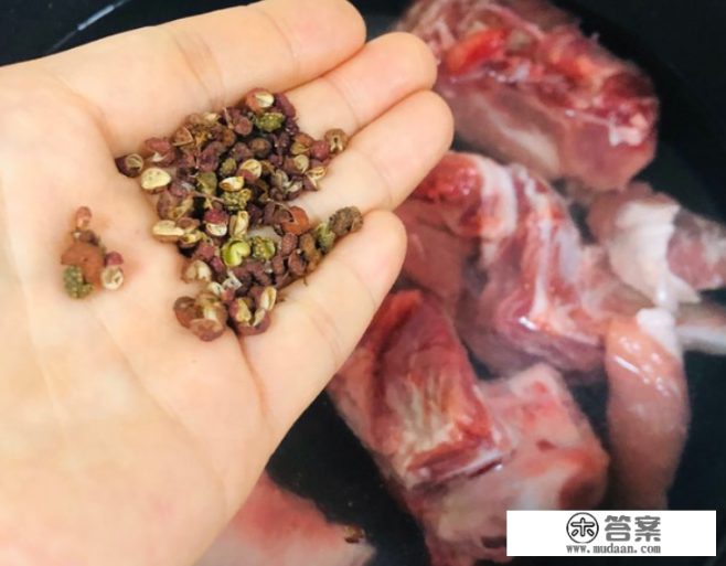 土豆排骨焖面做法？