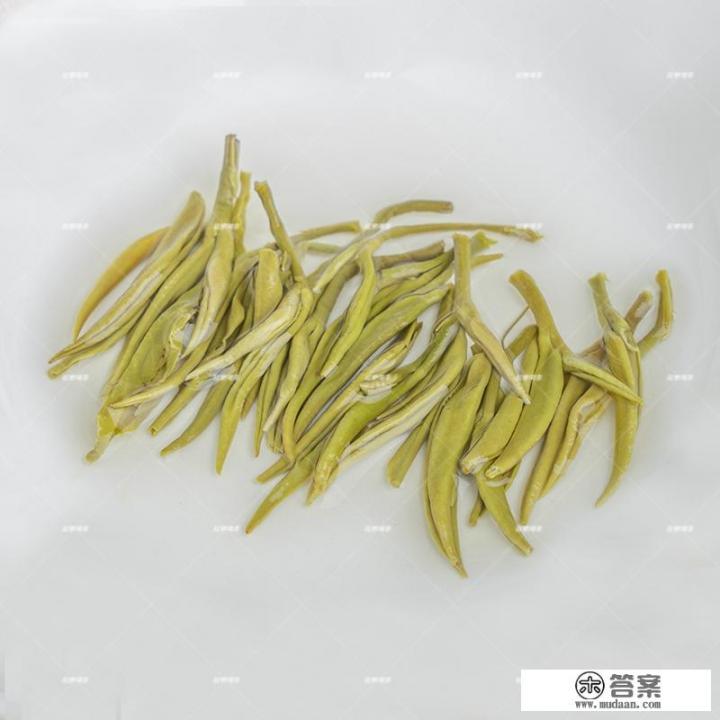 茉莉花茶介绍？