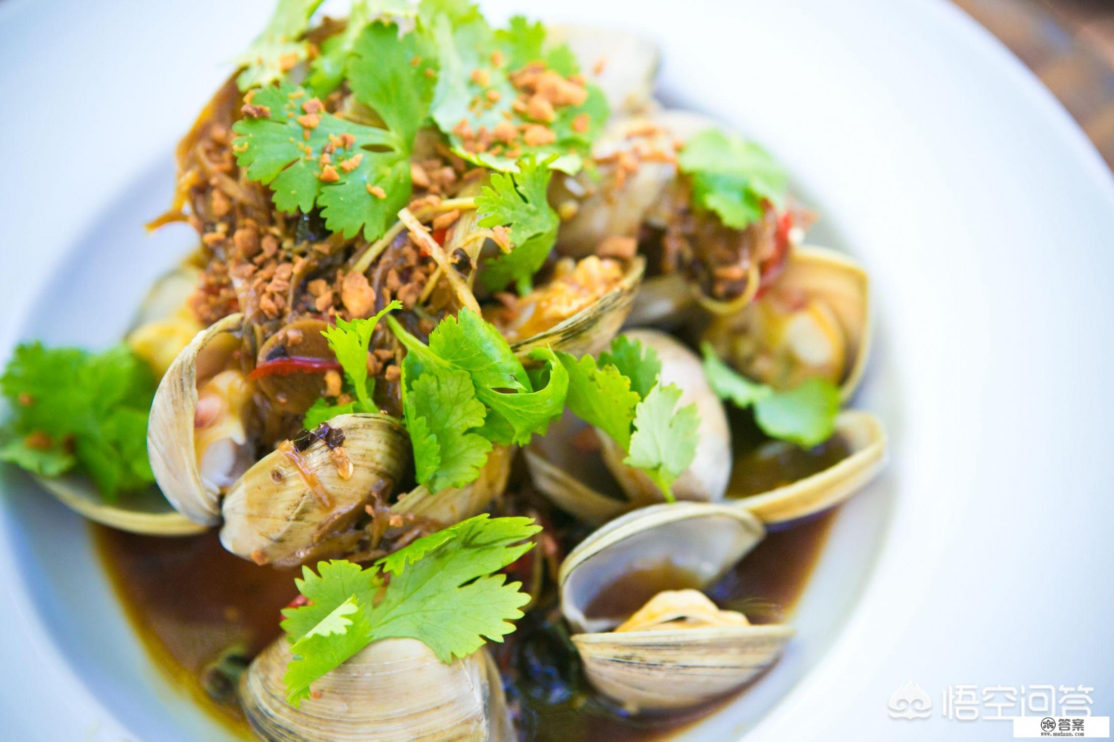 猫合理的饮食搭配？