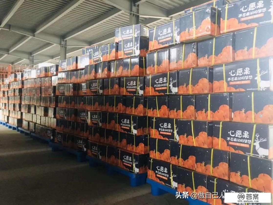 糖心苹果哪里正宗? 糖心苹果哪里正宗?