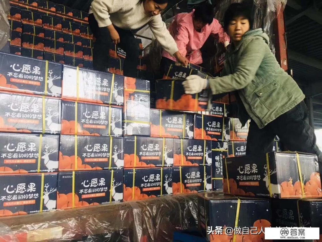 糖心苹果哪里正宗? 糖心苹果哪里正宗?