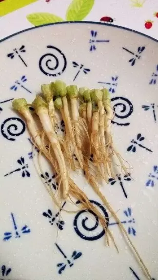 十香菜怎么种植？