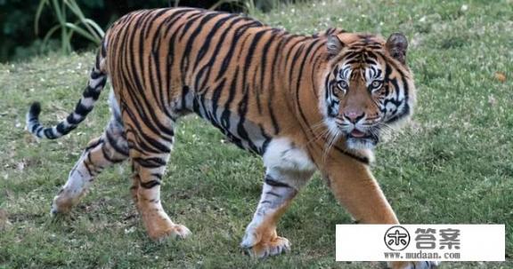 姜眠霍时衍是什么小说？