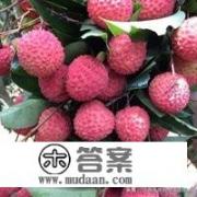 荔枝放冰箱冷冻过了吃,还会这么有火气吗？