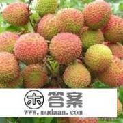 荔枝放冰箱冷冻过了吃,还会这么有火气吗？