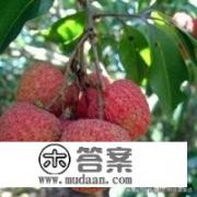 荔枝放冰箱冷冻过了吃,还会这么有火气吗？