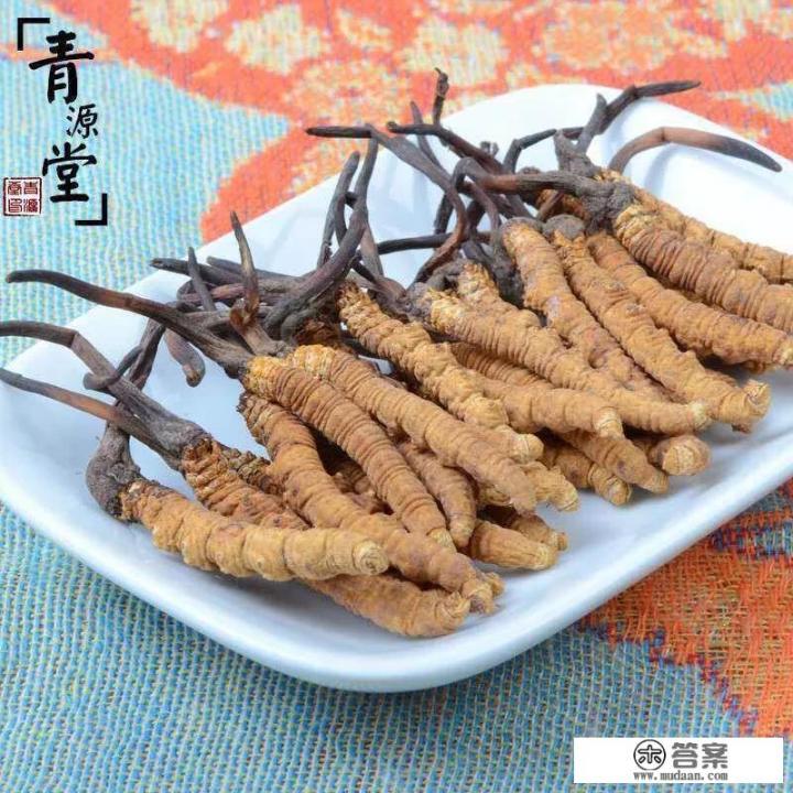 外地人对青海的什么东西特别感兴趣？