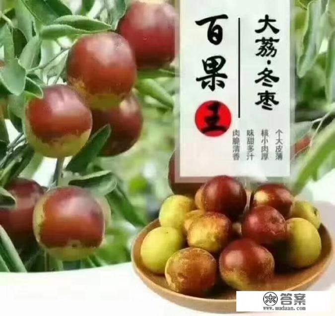 大荔冬枣热量？