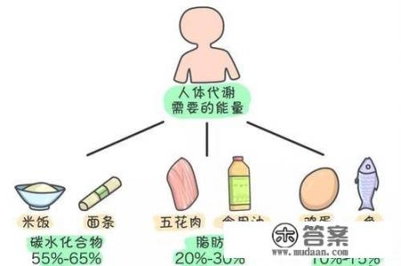 各种不同蔬菜的卡路里分别是多少？