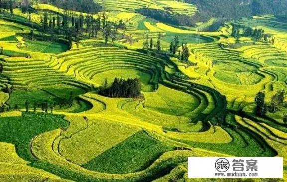 3月份到云南旅游好还是11月去好？