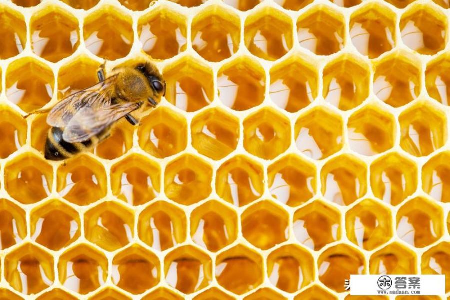 晚饭喝牛奶可以吗？