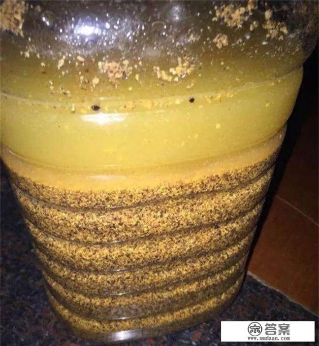 兰花按用途分为哪几种？