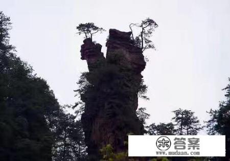 张家界一般玩几天合适? 张家界一般玩几天合适?