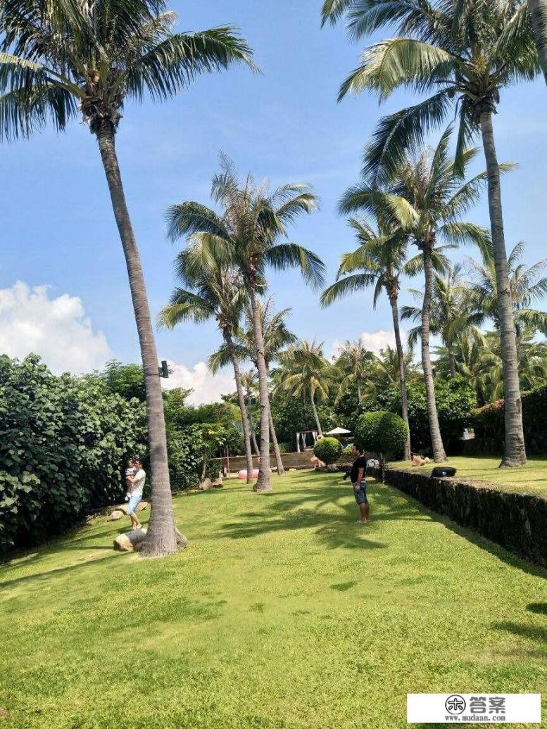 三亚湾附近有什么好吃好玩的吗? 三亚湾附近有什么好吃好玩的吗?