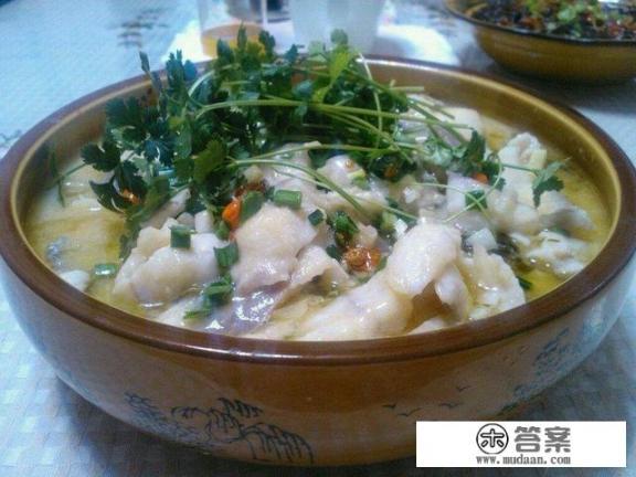 酸菜鱼米饭加盟那个比较好？