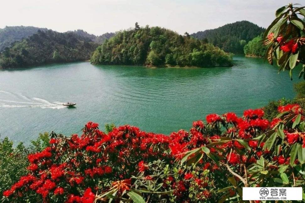 4个月的宝宝可以出游吗？需要注意什么？