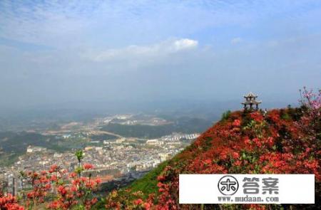 4个月的宝宝可以出游吗？需要注意什么？