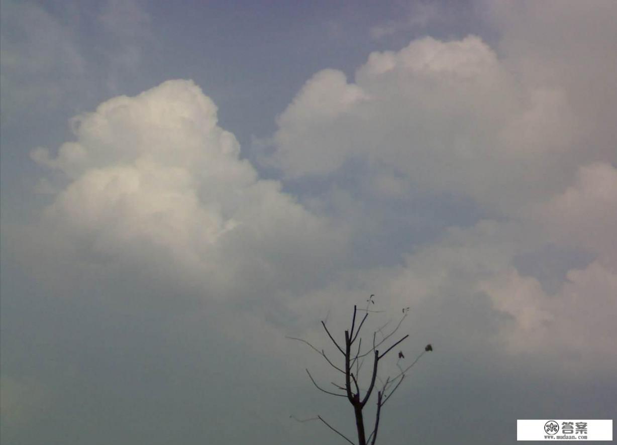 瓦片云与鱼鳞云区别？