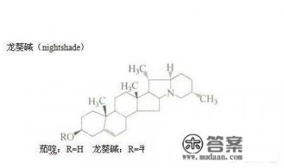 土豆发芽以后还能吃吗? 土豆发芽以后还能吃吗?