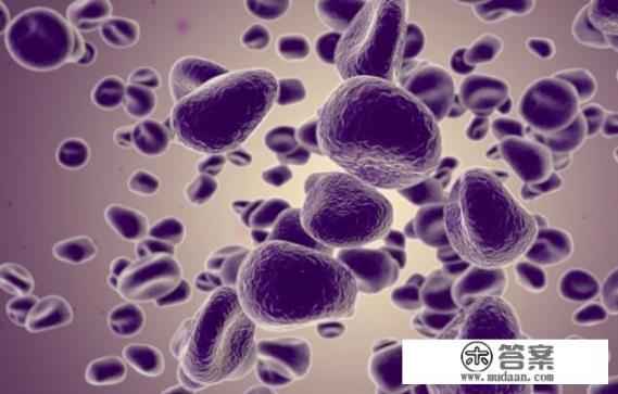 容易陷入的4个饮食误区? 容易陷入的4个饮食误区?