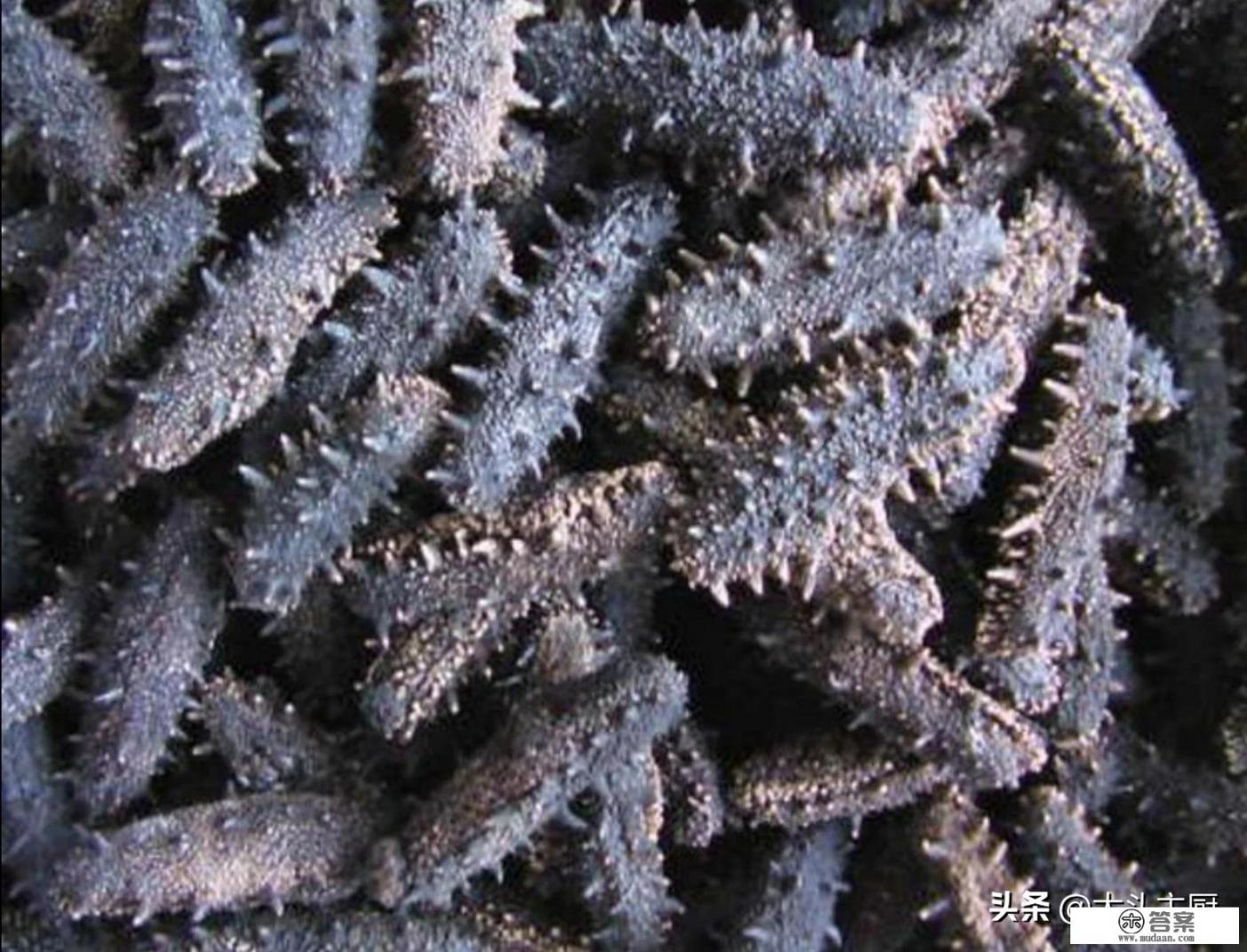 泡发的海参煮多久？