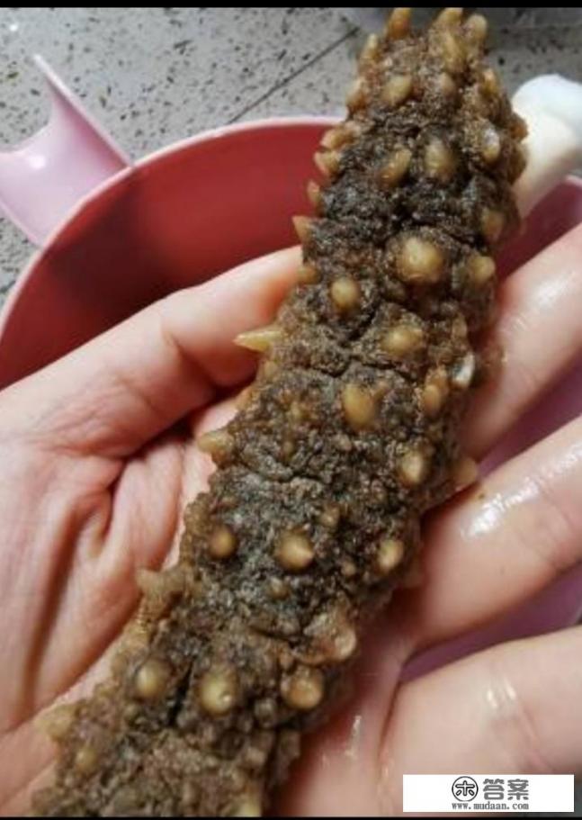 泡发的海参煮多久？