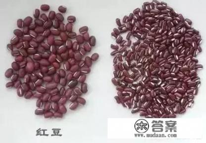 红豆薏米茶可以去湿气吗？