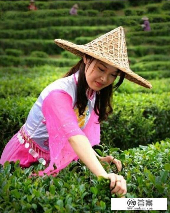 都匀毛尖茶怎么样？