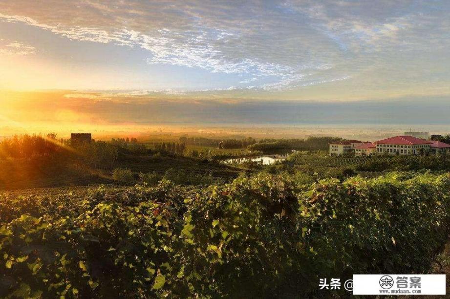 为什么说昌黎是一个县？