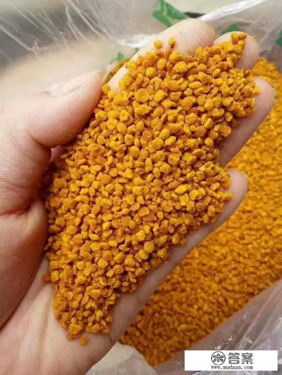 怎么辨别茶花粉？