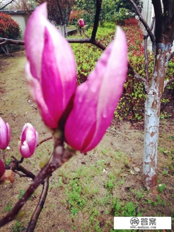 女儿死心塌地地喜欢上一个家境不好的男孩,为了结婚与我冷战,我该怎么办? 女儿死心塌地地喜欢上一个家境不好的男孩,为了结婚与我冷战,我该怎么办?