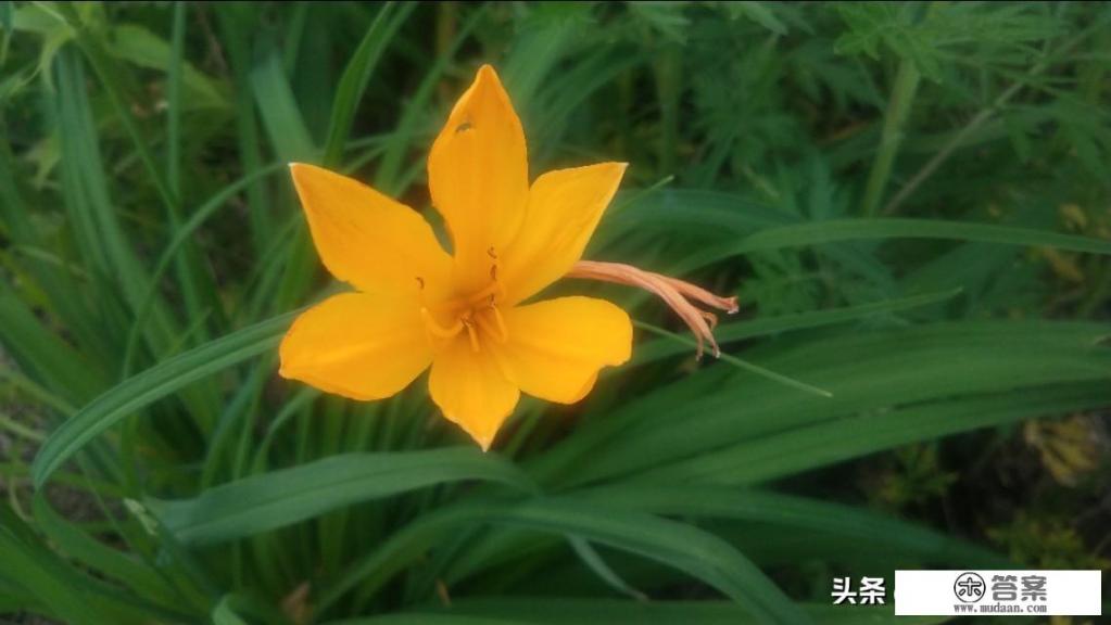 女儿死心塌地地喜欢上一个家境不好的男孩,为了结婚与我冷战,我该怎么办? 女儿死心塌地地喜欢上一个家境不好的男孩,为了结婚与我冷战,我该怎么办?