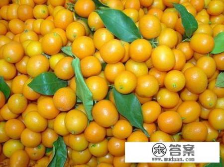 小金桔怎么吃治咳嗽？