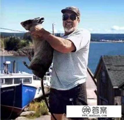 马提尼克是哪个国家？