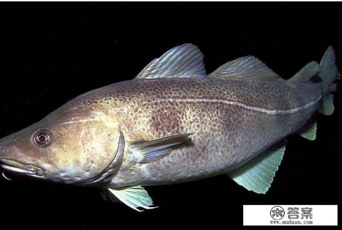 喝矿泉水时嘴沾瓶口后瓶口会有腥气闻、怎么回事？