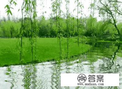 野火烧不尽春风吹又生是什么意思？