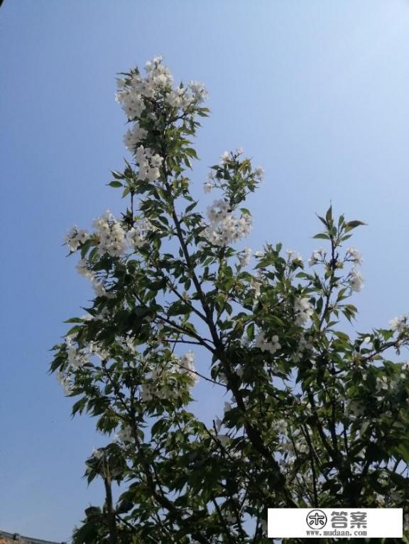 傲慢与偏见小说中的爱情和婚姻？