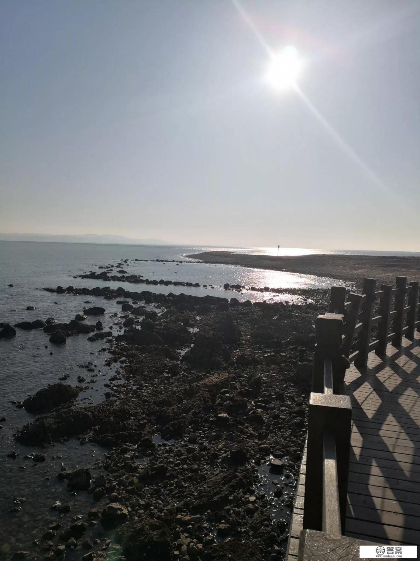 养了一年的狗对家人很凶？