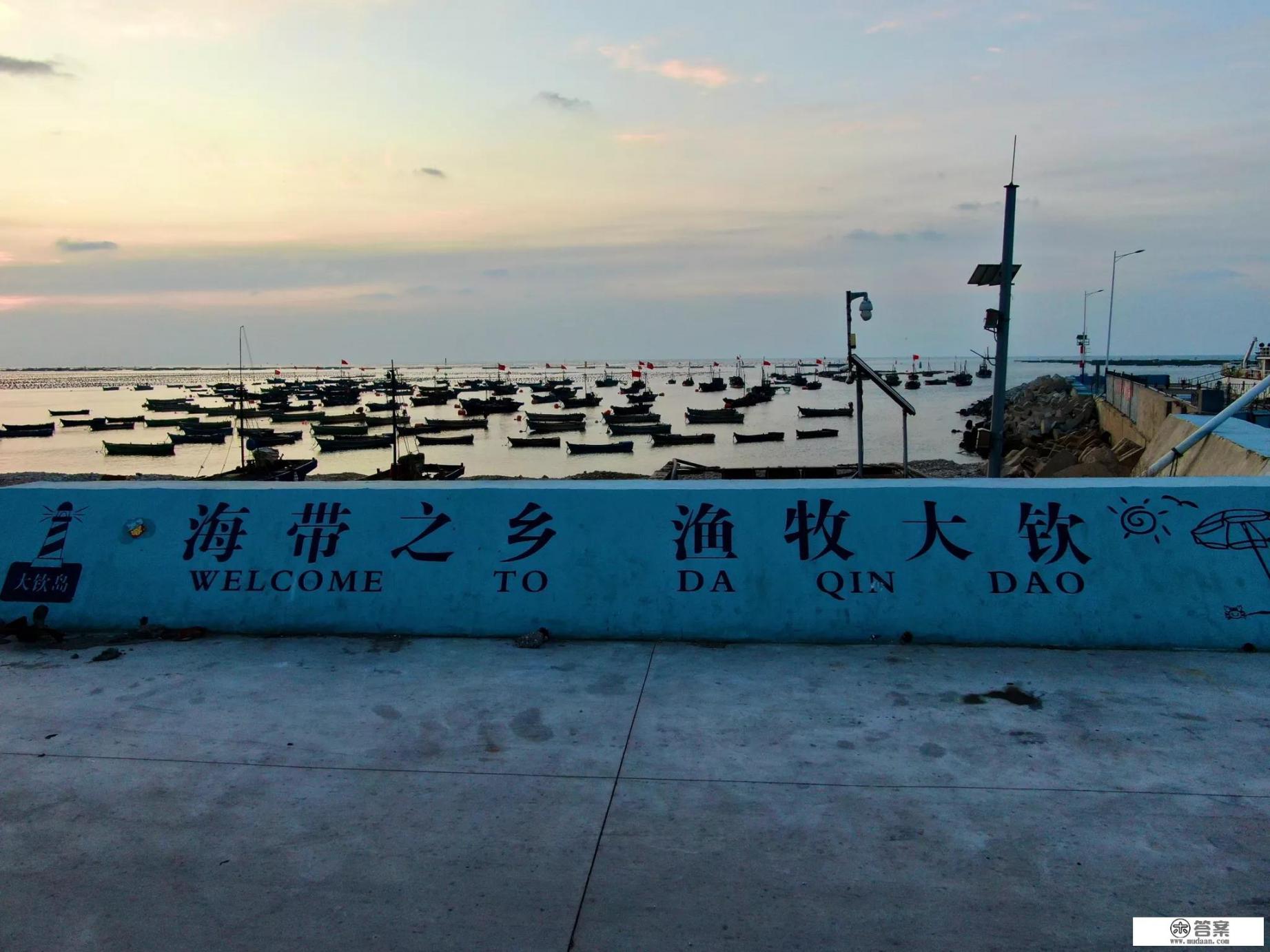 养了一年的狗对家人很凶？