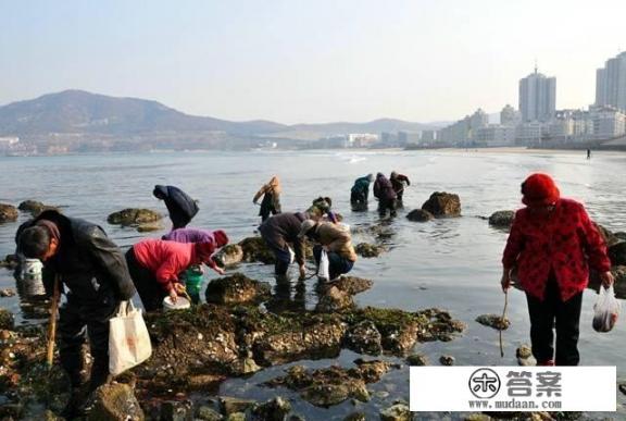 对于自媒体中的赶海视频，几乎每天赶海都能捡到大鱼大螃蟹，很好奇是确实捡到还是摆拍的？