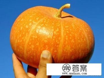 9个月南瓜零食做法? 9个月南瓜零食做法?