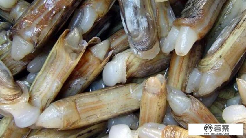 丝瓜怎么煮汤？