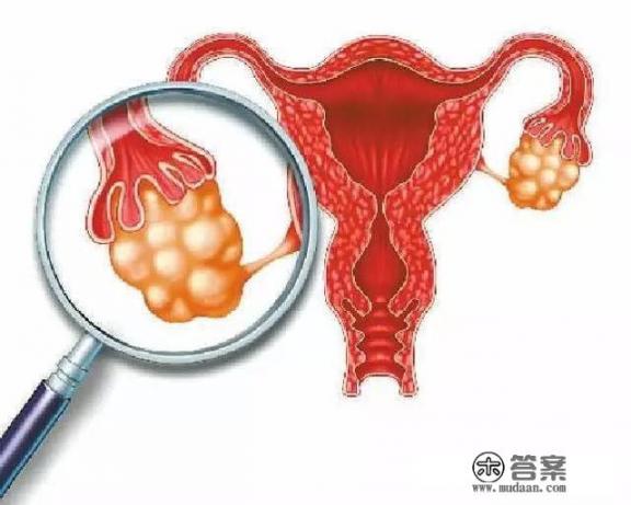 女人吃什么能保养卵巢？