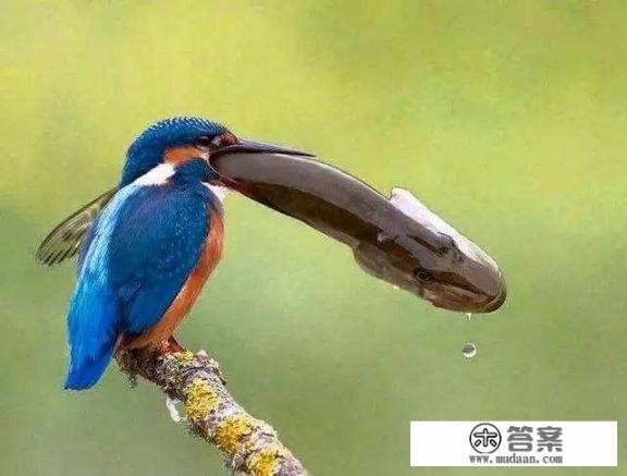 农村俗语“人在福中不知福,船在水中不知流”什么意思? 农村俗语“人在福中不知福,船在水中不知流”什么意思?